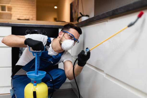 Best Wasp Removal Services  in Leesburg, OH