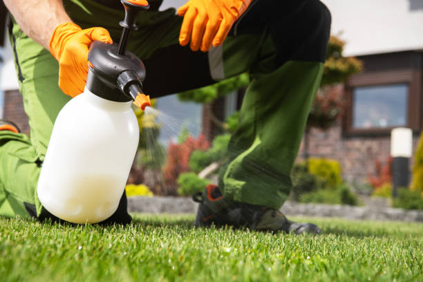 Best Pest Control Near Me  in Leesburg, OH