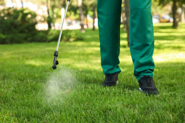 Best Emergency Pest Control  in Leesburg, OH