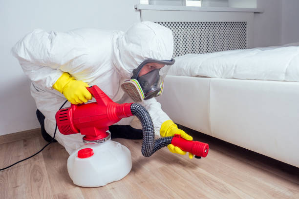 Best Flea Control Services  in Leesburg, OH