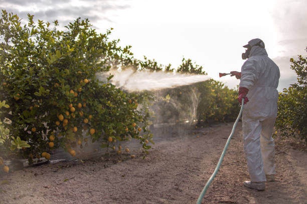 Best Residential Pest Control  in Leesburg, OH