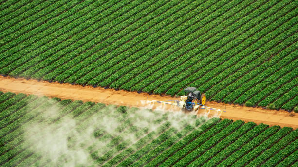 Best Commercial Pest Control Services  in Leesburg, OH