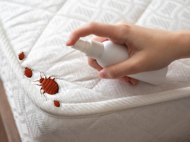 Best Pest Removal Services  in Leesburg, OH