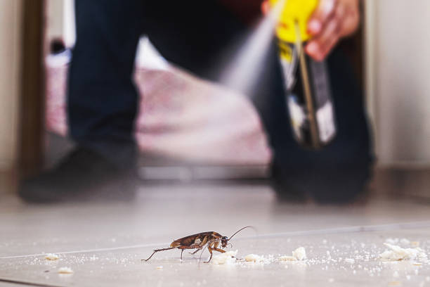 Best Best Pest Control Companies  in Leesburg, OH