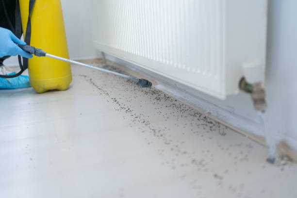 Best Exterminator Services  in Leesburg, OH