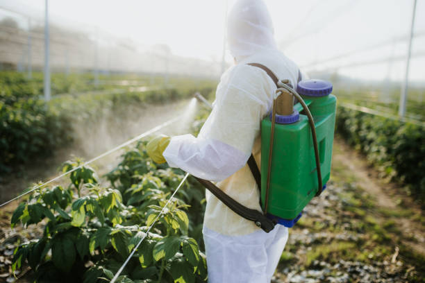 Best Wildlife Control Services  in Leesburg, OH